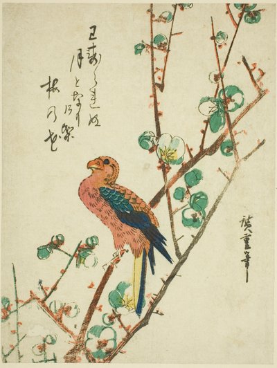 梅の木のオウム 作： Utagawa Hiroshige