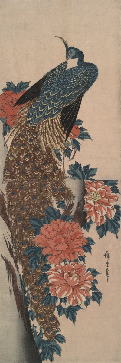 孔雀と牡丹 作： Utagawa Hiroshige
