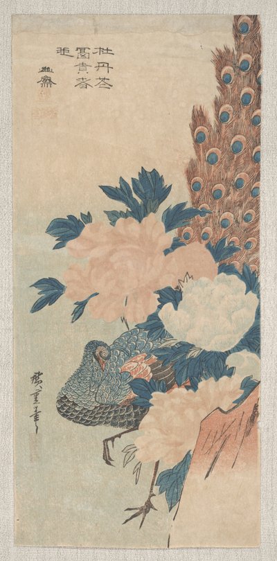 孔雀と牡丹、1830年頃 作： Utagawa Hiroshige