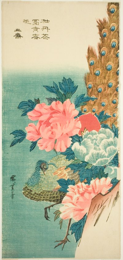孔雀と牡丹 作： Utagawa Hiroshige