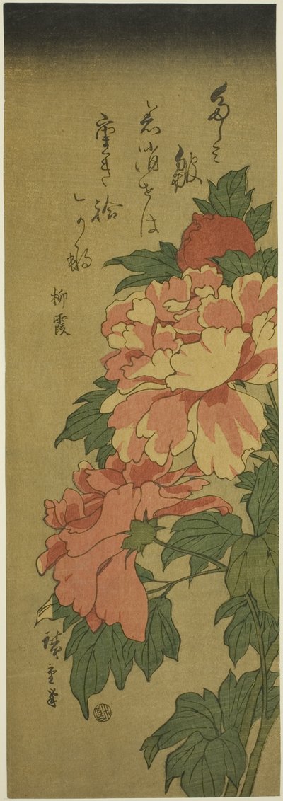 牡丹 作： Utagawa Hiroshige