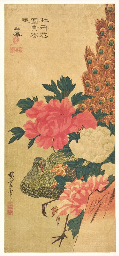 牡丹と孔雀 作： Utagawa Hiroshige