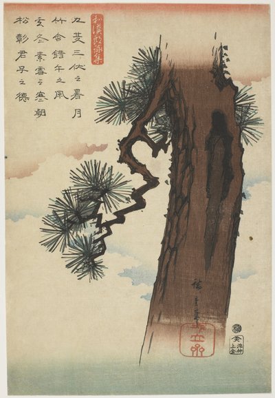 パインツリー、1837-1844（カラー木版印刷） 作： Utagawa Hiroshige