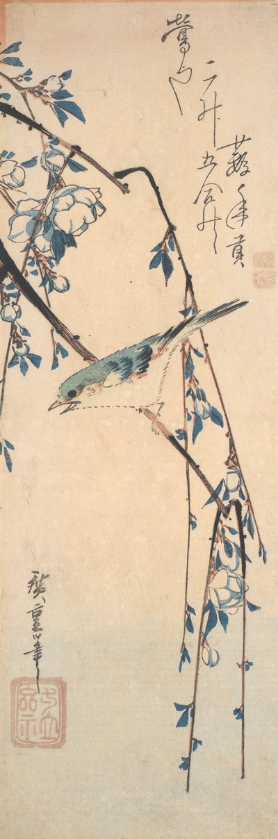 桜の枝に赤いフリルブルーテイル 作： Utagawa Hiroshige