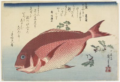 鯛と山椒_小枝c。 1832 作： Utagawa Hiroshige