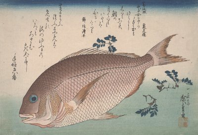 鯛と山椒（1830年頃） 作： Utagawa Hiroshige