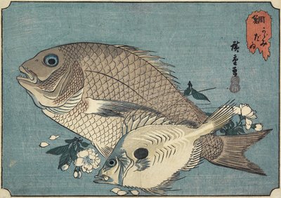 鯛、19世紀初頭 作： Utagawa Hiroshige