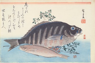 島田と愛名、シリーズ「大魚」、歌川校、c。 1840-42（紙に木版の手彩色印刷） 作： Utagawa Hiroshige