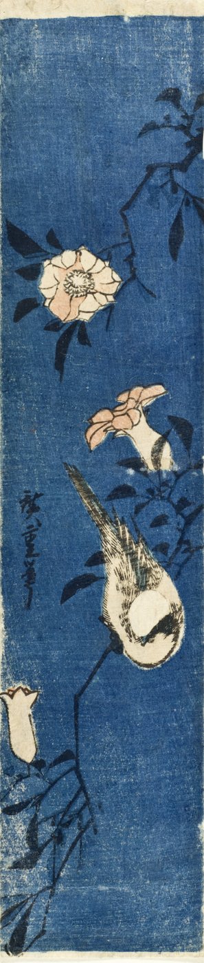 Würger auf Granatapfelzweig 作： 歌川広重