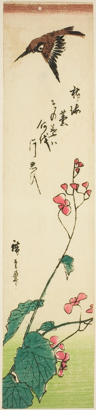 ベゴニアの上空を飛ぶスズメ 作： Utagawa Hiroshige