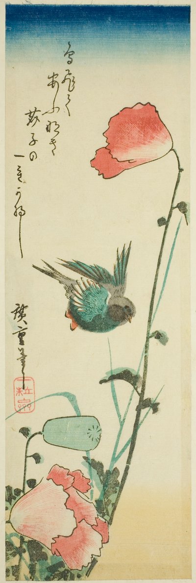 ツバメとポピー 作： Utagawa Hiroshige