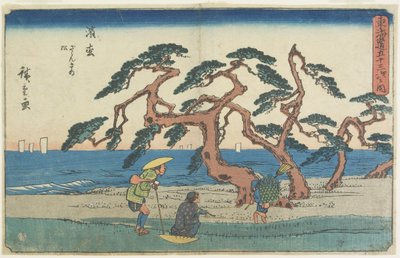 浜松の松畑、1841〜1842年 作： Utagawa Hiroshige