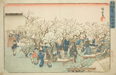 「東都名所」より 亀戸梅屋敷の図 公明堂の梅園 作： Utagawa Hiroshige