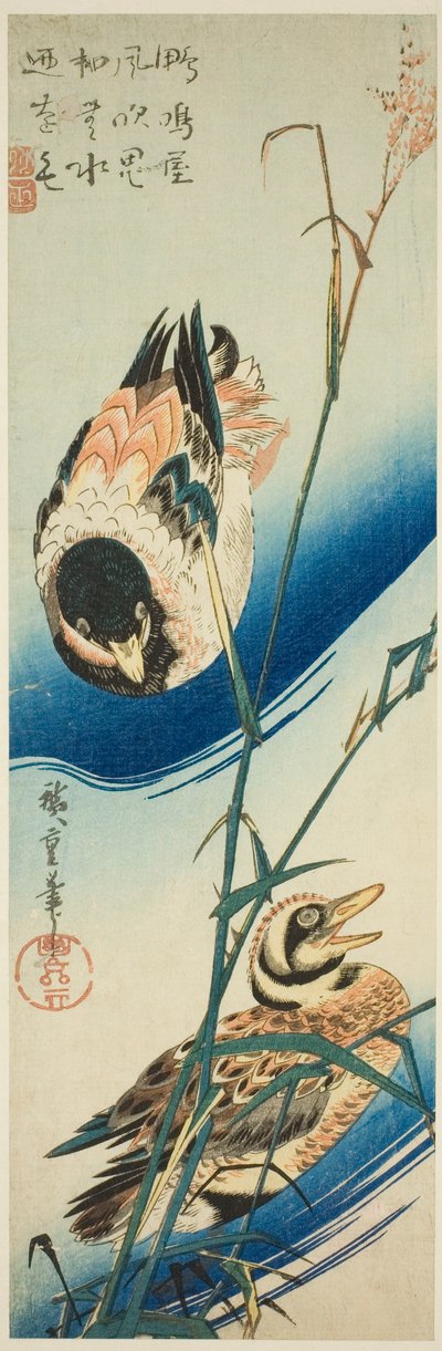 葦の間を泳ぐ 2 羽のアヒル 作： Utagawa Hiroshige