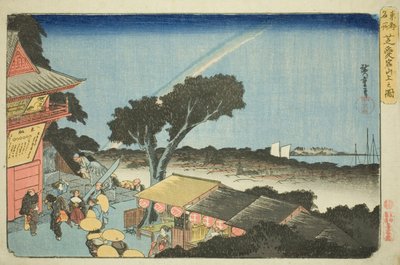 連載「東都名所」より 芝愛宕山山頂からの眺め 作： Utagawa Hiroshige