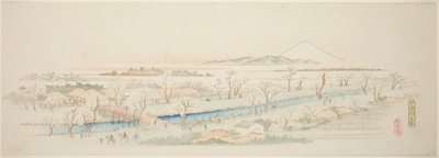 無題 江戸下町名勝 小金井の景 作： Utagawa Hiroshige