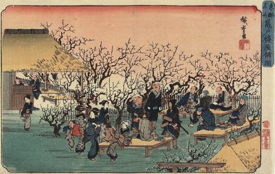 亀戸の梅園、1832-1834年 作： Utagawa Hiroshige