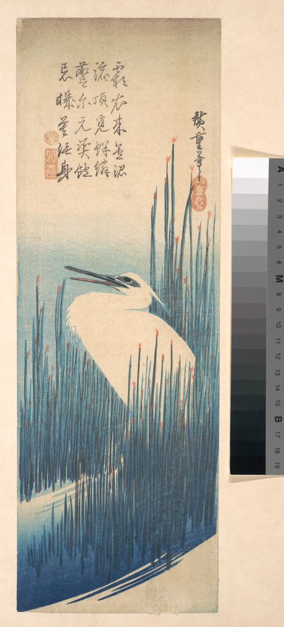 葦の間に立つ白鷺 作： Utagawa Hiroshige