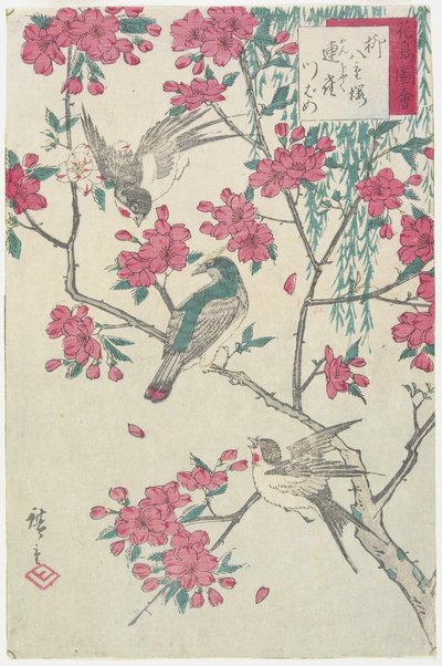 柳、桜、スズメ、ツバメ、19世紀初頭 作： Utagawa Hiroshige