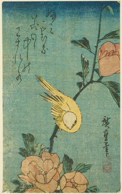 黄色い鳥とハイビスカス 作： Utagawa Hiroshige