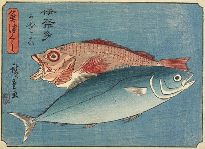 ブリとロックフィッシュ、1830-1844 作： Utagawa Hiroshige