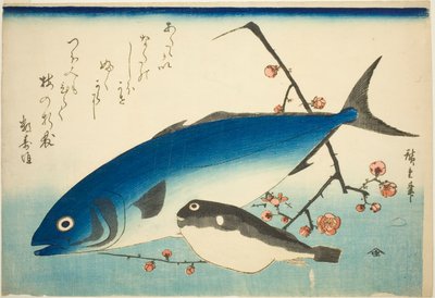 ぶり・ふぐ・梅枝 作： Utagawa Hiroshige