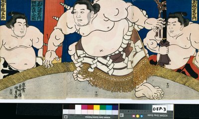 山口屋トビエグランチャンピオン不知火作右衛門入図 作： Utagawa Kunisada