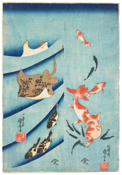 金魚、メダカ、エイ、フグ 1837年頃 （木版画） 作： Utagawa Kuniyoshi