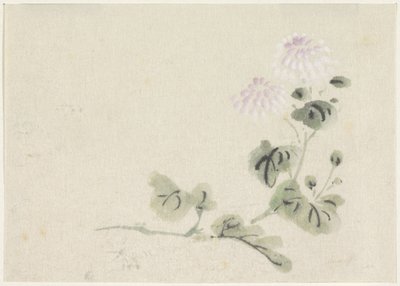 紫白菊 作： Utagawa Kuniyoshi