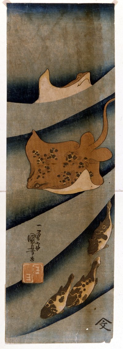歌川国芳(1797-1861)が魚を描いた版画。 作： Utagawa Kuniyoshi
