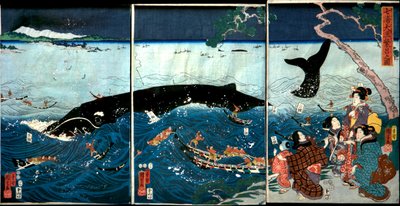 七浦大漁繁盛之図（ななうらたいりょうはんじょうのず 作： Utagawa Kuniyoshi
