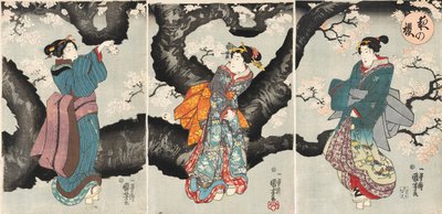 夜の桜[夜の桜]、1846年頃（木版画） 作： Utagawa Kuniyoshi
