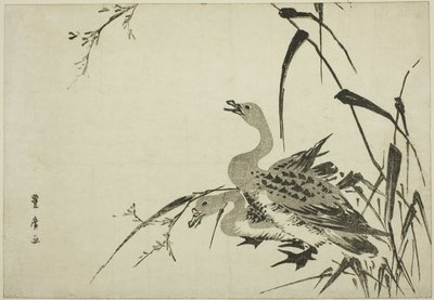 雁と葦 作： Utagawa Toyohiro