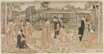 志賀茶屋 作： Utagawa Toyokuni