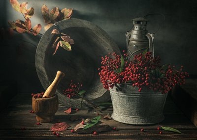  作： Vadim Kulinsky