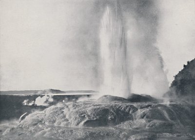 間欠泉、ニュージーランド、1924 作： Valentine and Sons Ltd