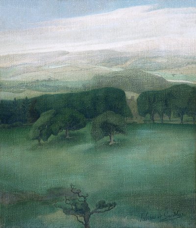カーディガンシャーの山々 作： Valerius de Saedeleer