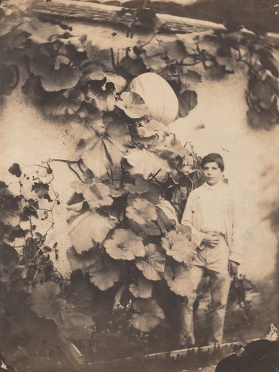 かぼちゃのつるを持つ少年 作： Varin Frères