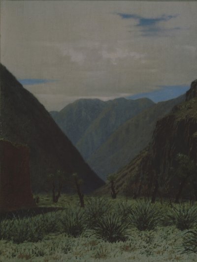 バースカウンマウンテンパス 作： Vasili Vasilievich Vereshchagin