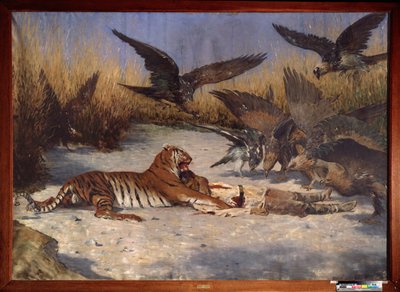 マンイーター - Vasili Vasilyevich Vereshchagin (Vassili Vereshchagin) (1842-1904) による絵画、キャンバスに油彩、1870-1880 年頃、ロシア美術 19 世紀 - 地域 W Wereshchagin Art Museum、ミコラーイウ (ウクライナ) 作： Vasili Vasilievich Vereshchagin