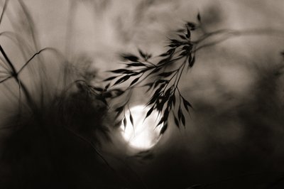  作： 