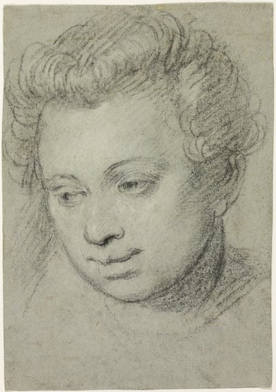 女性の頭 作： Veronese (Paolo Caliari)