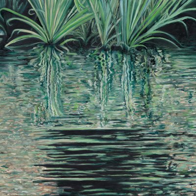 緑の水面に映る景色 作： Viccy Wanliss