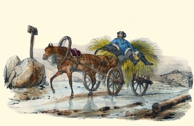 Le Paysan Russe.は、Victor Adamが描いた「Album Grotesque, Choices of Outstanding Types」に収録されており、1850年頃にパリで出版されました。 作： Victor Adam