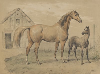 牝馬と仔馬、19 世紀。 作： Victor Adam