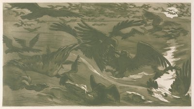 猛禽類、1893年。 作： Victor Emile Prouve