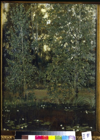 Akhtyrka (または Okhtyrka、ウクライナ) の池。 Viktor Mikhaylovich Vasnetsov (1848-1926) の絵画、キャンバスに油彩 作： Victor Mikhailovich Vasnetsov