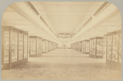 Pl。 III. 主なストーリー: 鳥 作： Victor Prevost, Gaston L. Feuardent and Co., New York