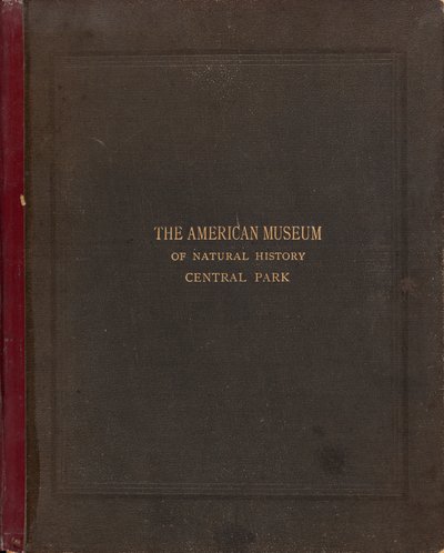 アメリカ自然史博物館、セントラル パーク、ニューヨーク市の写真アルバム 作： Victor Prevost, Gaston L. Feuardent and Co., New York