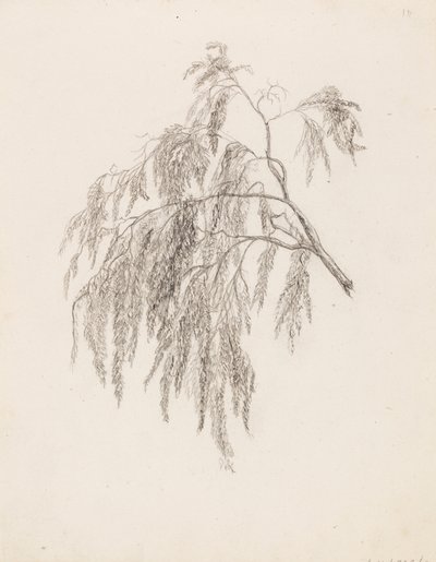 支店 作： Victoria Åberg